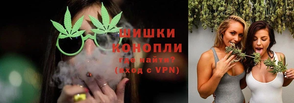 spice Аркадак
