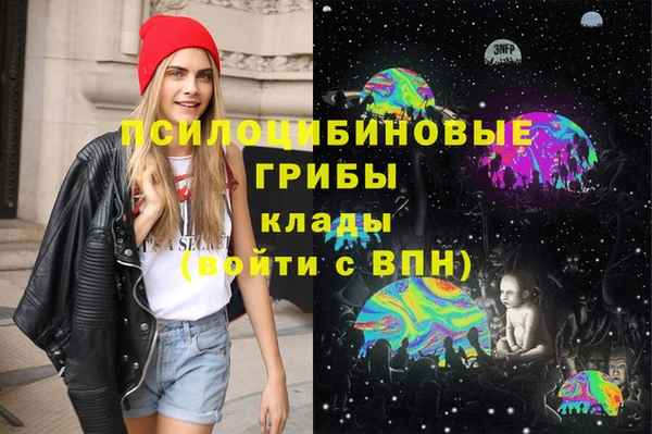 spice Аркадак
