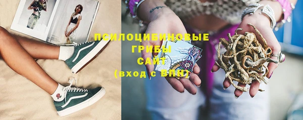 ешки Армянск